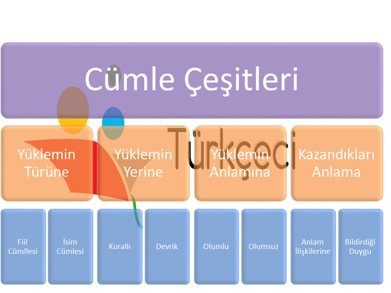 9. Sınıf Cümle Çeşitleri