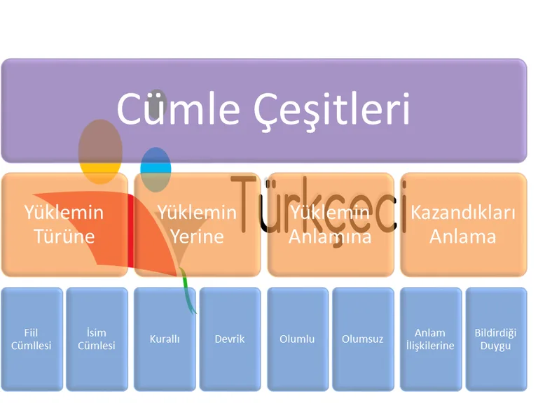 9. Sınıf Cümle Çeşitleri
