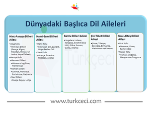 9.Sınıf Dillerin Sınıflandırılması