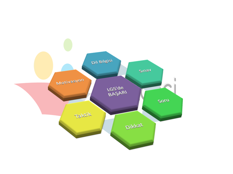 LGS Türkçeden Full Çekmek